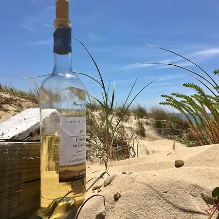 Апартаменты Vue Ocean - Au Coeur De Contis Сен-Жюльен-ан-Борн